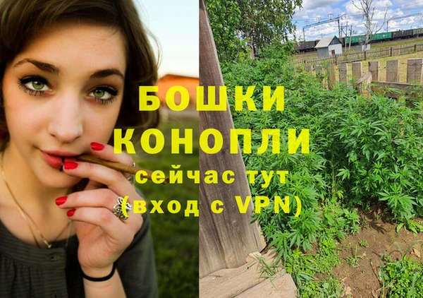 прущая мука Вяземский