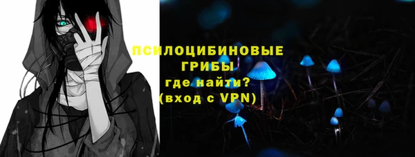 прущая мука Вяземский