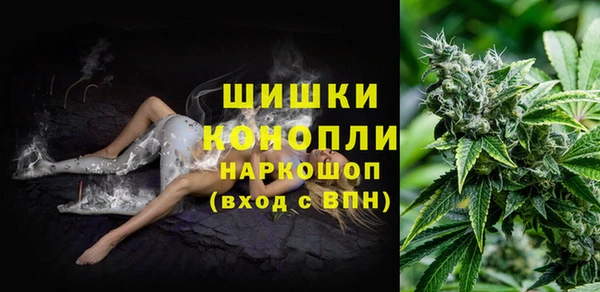 прущая мука Вяземский