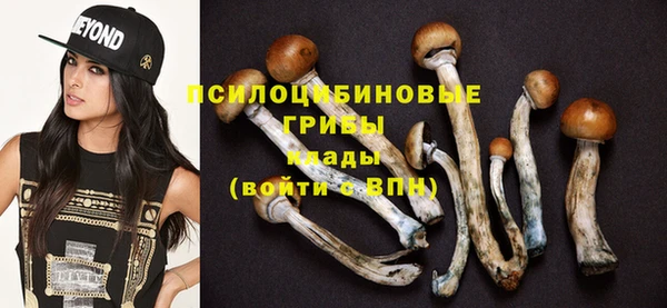 тгк Вязьма