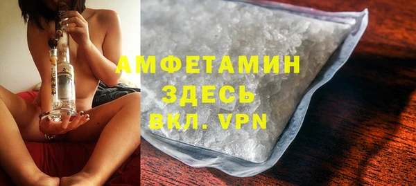 прущая мука Вяземский