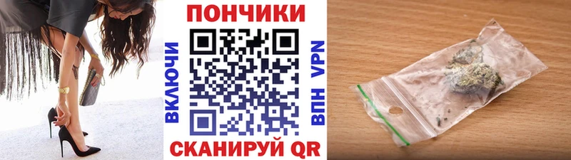 Купить  Верхний Тагил  Бошки марихуана THC 21% 
